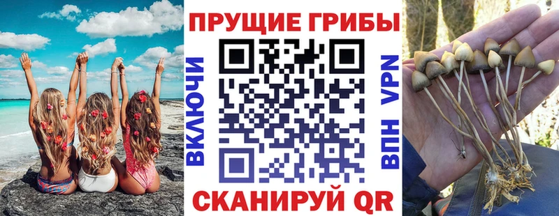Псилоцибиновые грибы GOLDEN TEACHER  Правдинск 